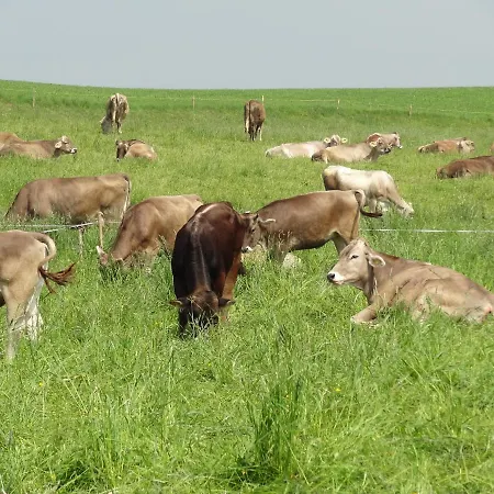 Sonnenaufgang Apartman Amtzell